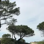 Oh! - La Tamarissiere *