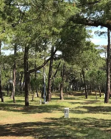 Oh! - La Tamarissiere Campsite