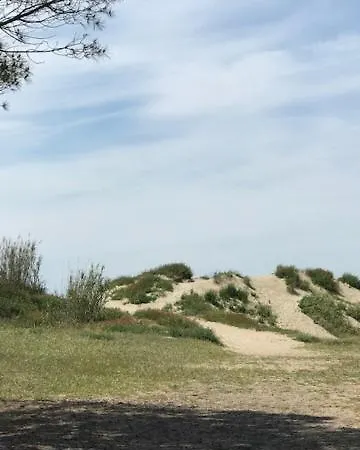 Oh! - La Tamarissiere Campsite